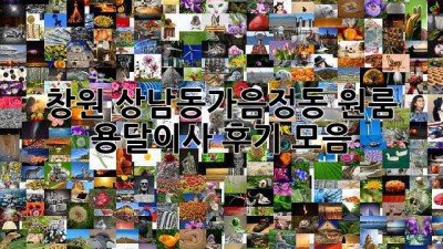 창원 상남동/가음정동 원룸 용달이사 후기 모음
