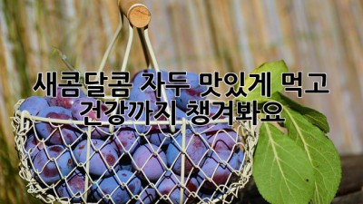 새콤달콤 자두🍑 맛있게 먹고 건강까지 챙겨봐요! ✨